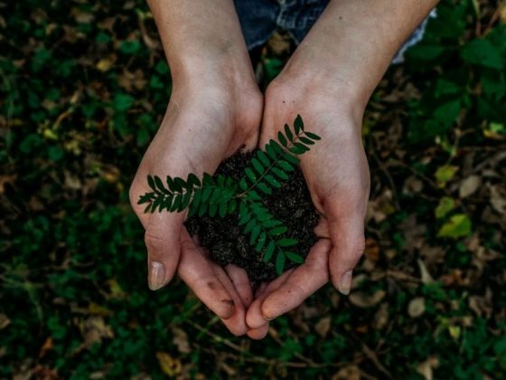5 Sumbangan Anda Boleh Lakukan Untuk Bumi Yang Lebih Lestari Tahun Ini