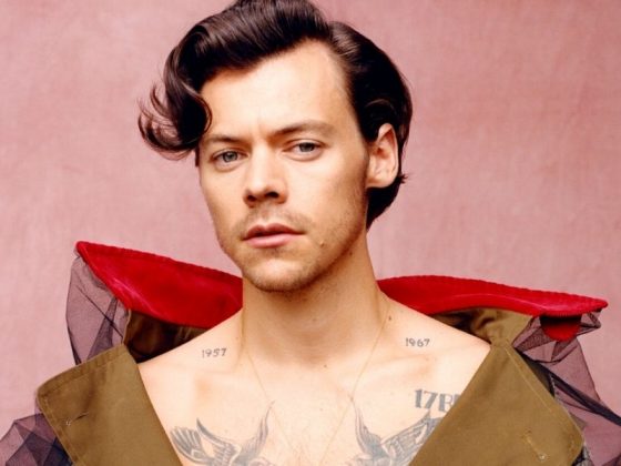 15 Perkara Anda Mungkin Belum Tahu Mengenai Harry Styles