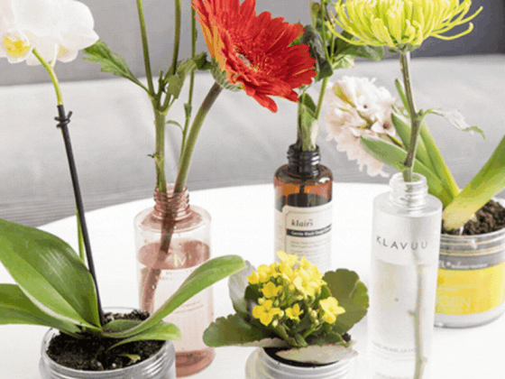 Cara Kreatif Untuk 'Upcycle' Produk Kecantikan