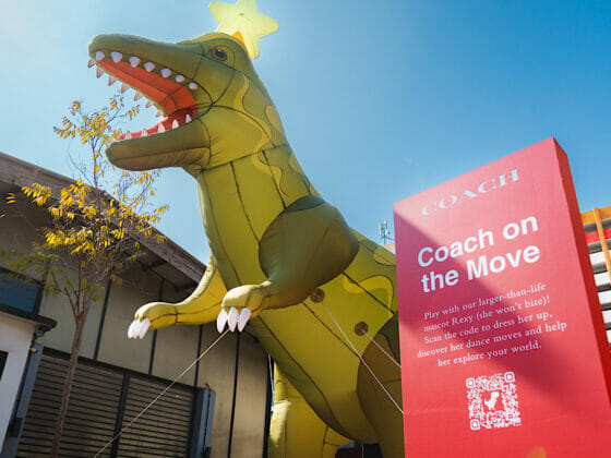 Coach Move